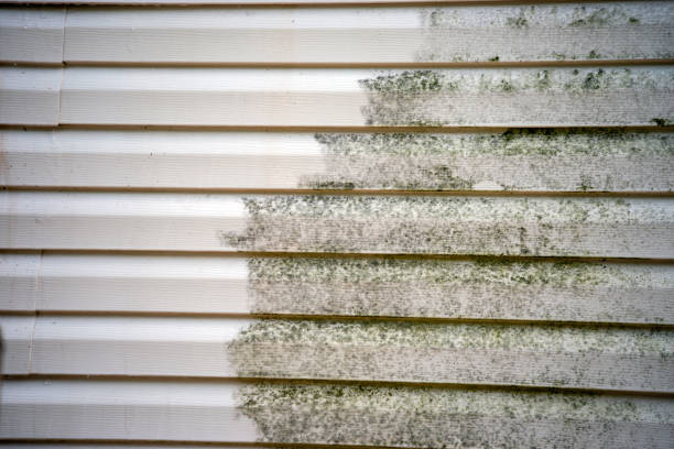 Best Demolition Debris Removal  in Brookridge, FL